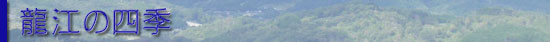 龍江の四季